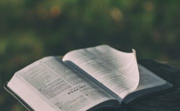 Jak uczyć języka angielskiego małe dzieci?