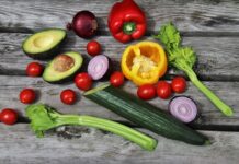 Dieta