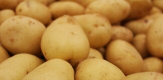 Czy piłę Widiowa się ostrzy?