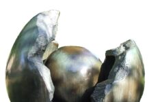 Na czym polega regeneracja reflektorów? Na czym polega regeneracja reflektorów?