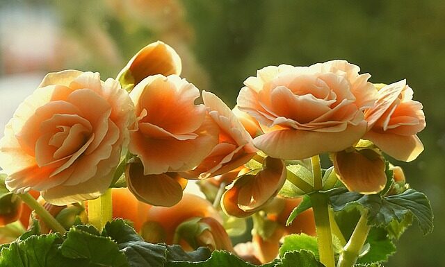 Jaka ukośnica do 1500 zł?